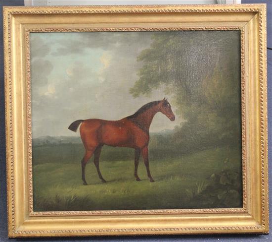 Follower of Francis Sartorius (1734-1804) Portrait of a racehorse Zadoni 1791, 19.5 x 23in.